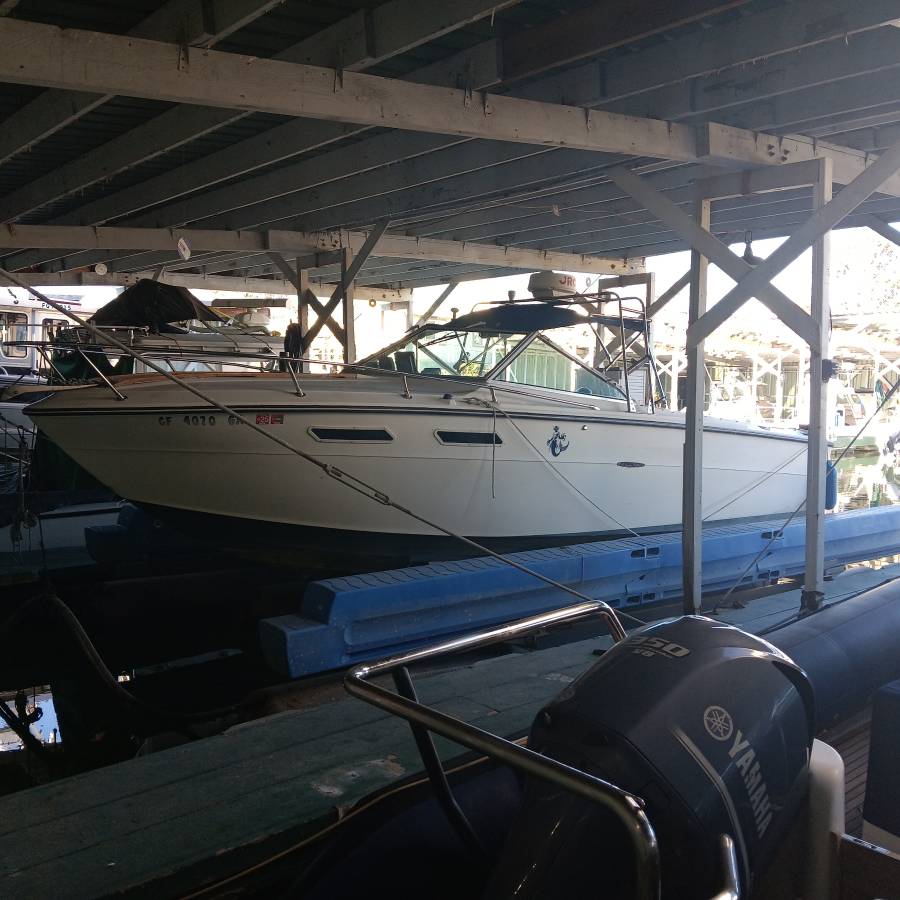 Sea Ray, Import USA — Foto 12 z 12