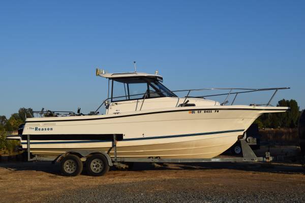 Bayliner, Import USA — Foto 1