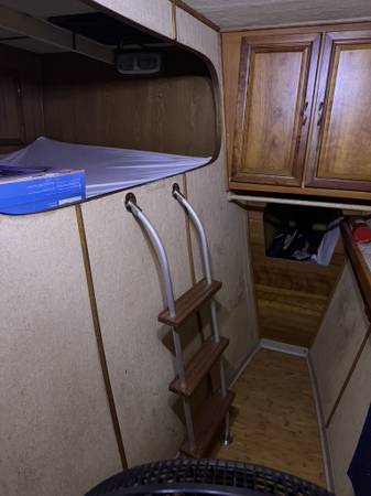 2014, Import USA — Foto 6 z 12