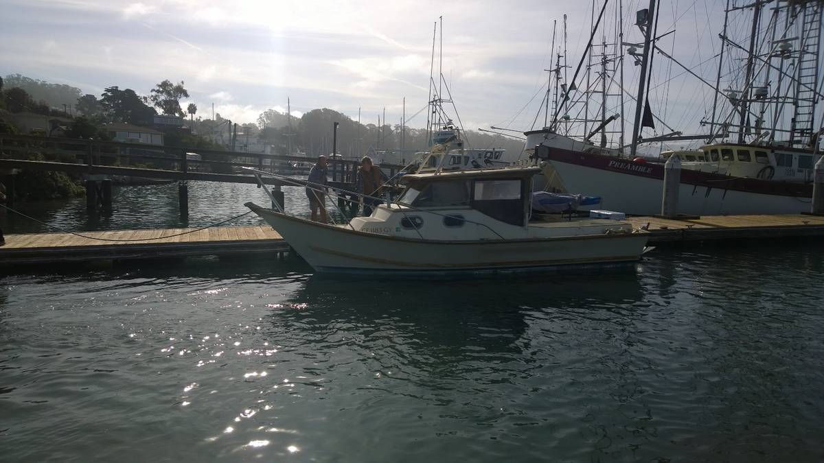 Bayliner, blau, Import USA — Foto 9 z 12