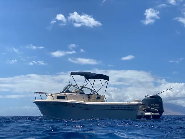 2018 Grady-White, weiß, Import USA — Foto 4 z 11