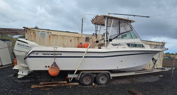 Grady-White, weiß, Import USA — Foto 1