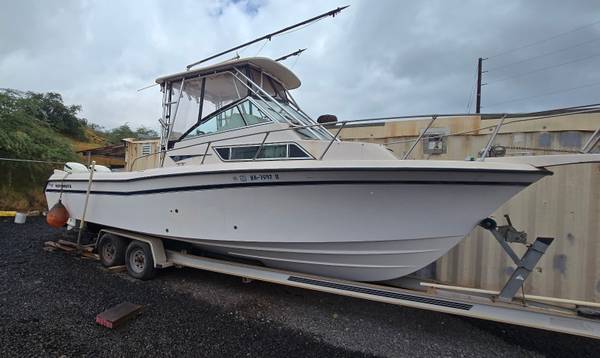 Grady-White, weiß, Import USA — Foto 2 z 2
