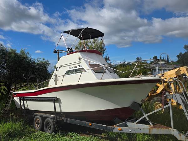 Grady-White, weiß, Import USA — Foto 1