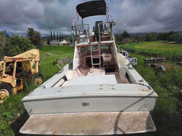 Grady-White, weiß, Import USA — Foto 5 z 5