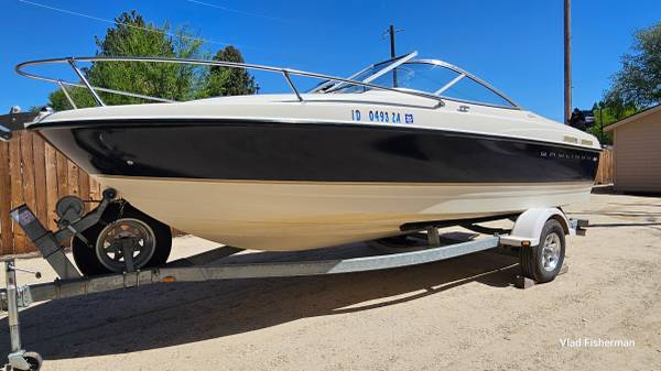 Bayliner, Import USA — Foto 1