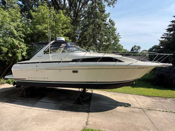 Bayliner, Import USA — Foto 1