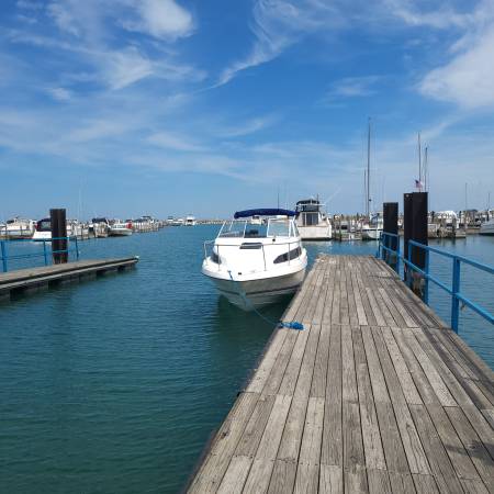 Bayliner, Import USA — Foto 2 z 9