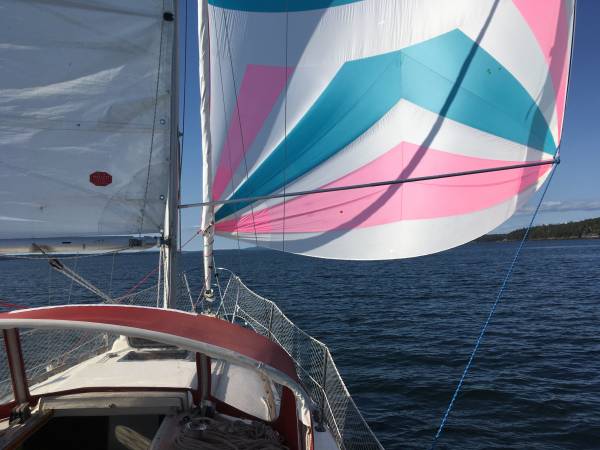 Catalina, Import USA — Foto 3 z 12