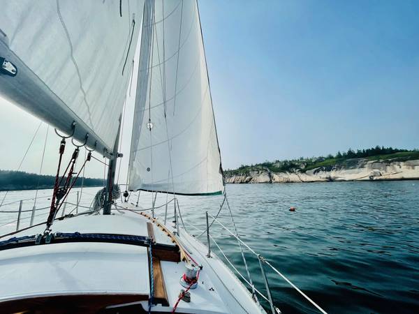 Catalina, Import USA — Foto 4 z 12