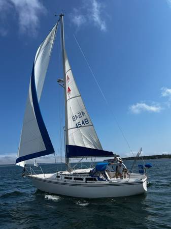 Catalina, Import USA — Foto 5 z 12