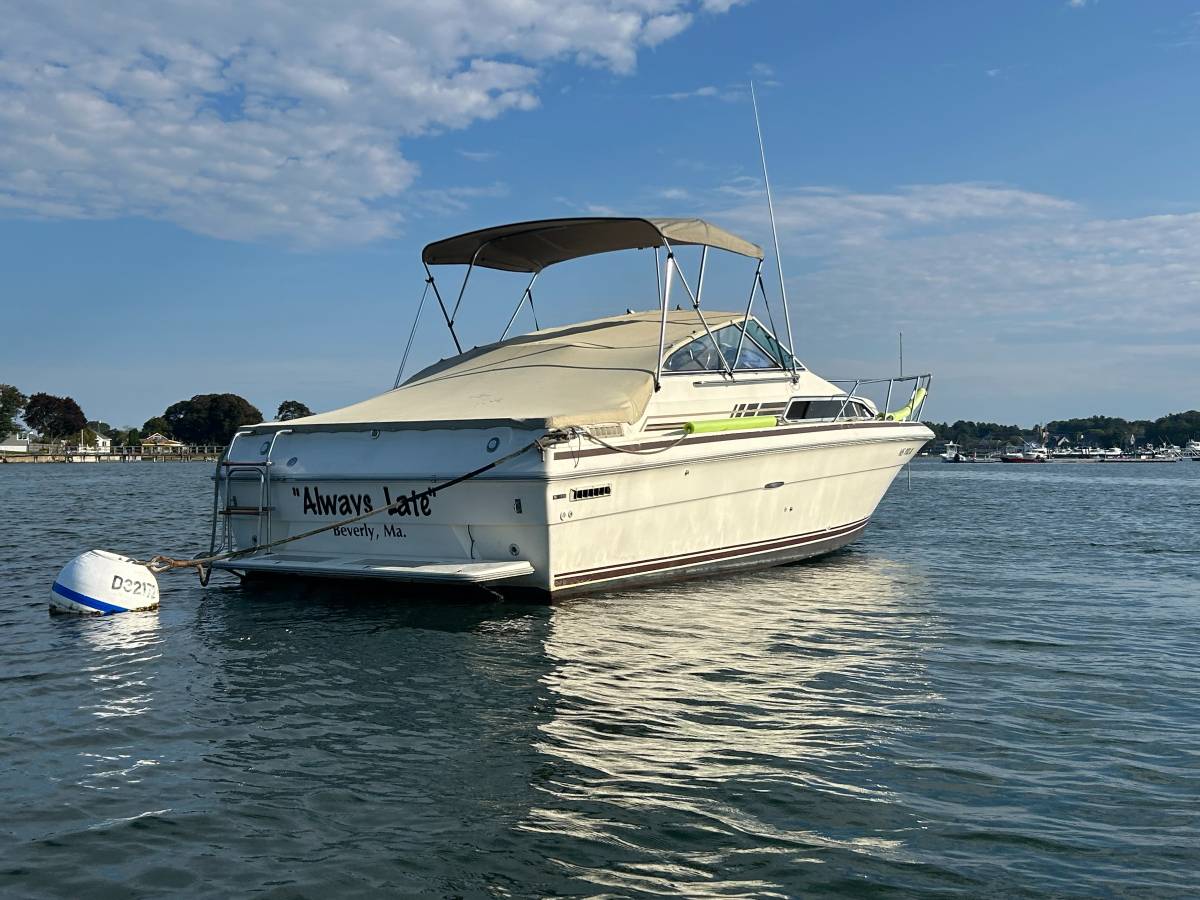 Sea Ray, Import USA — Foto 2 z 12