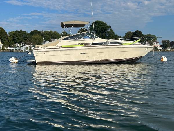 Sea Ray, Import USA — Foto 3 z 12