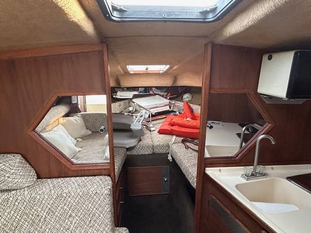 Sea Ray, Import USA — Foto 6 z 12