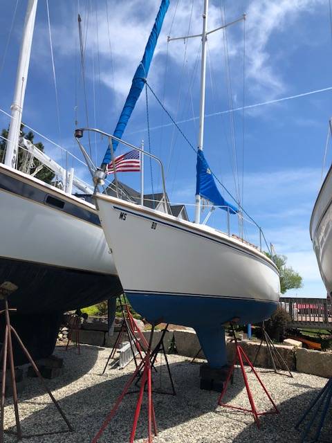Catalina, Import USA — Foto 12 z 12