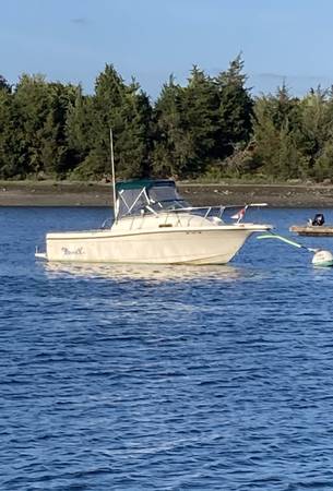 Bayliner, Import USA — Foto 10 z 10