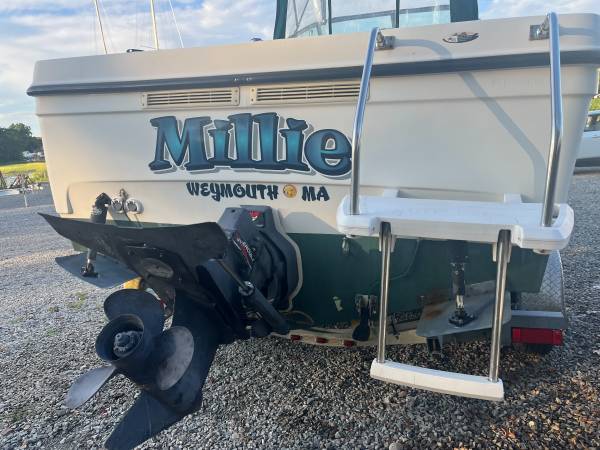 Bayliner, Import USA — Foto 7 z 10