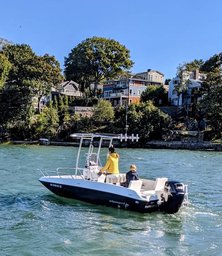 2019 Bayliner, Import USA — Foto 2 z 4