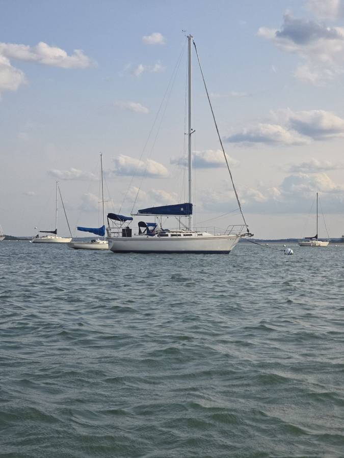 Catalina, Import USA — Foto 6 z 12