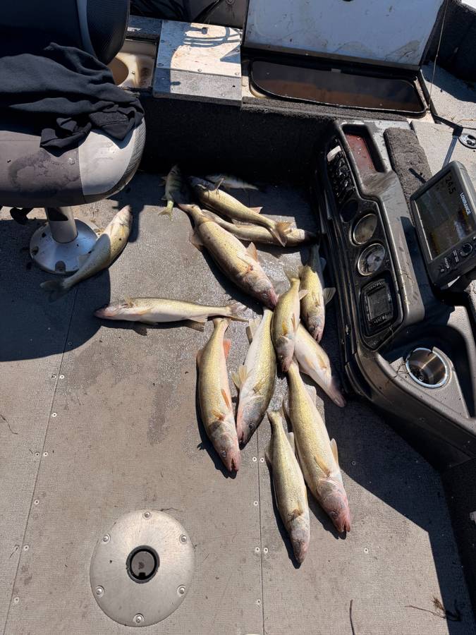 2016 Crestliner, Import USA — Foto 9 z 9