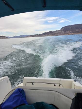 Bayliner, Import USA — Foto 3 z 12