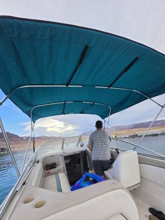 Bayliner, Import USA — Foto 6 z 12