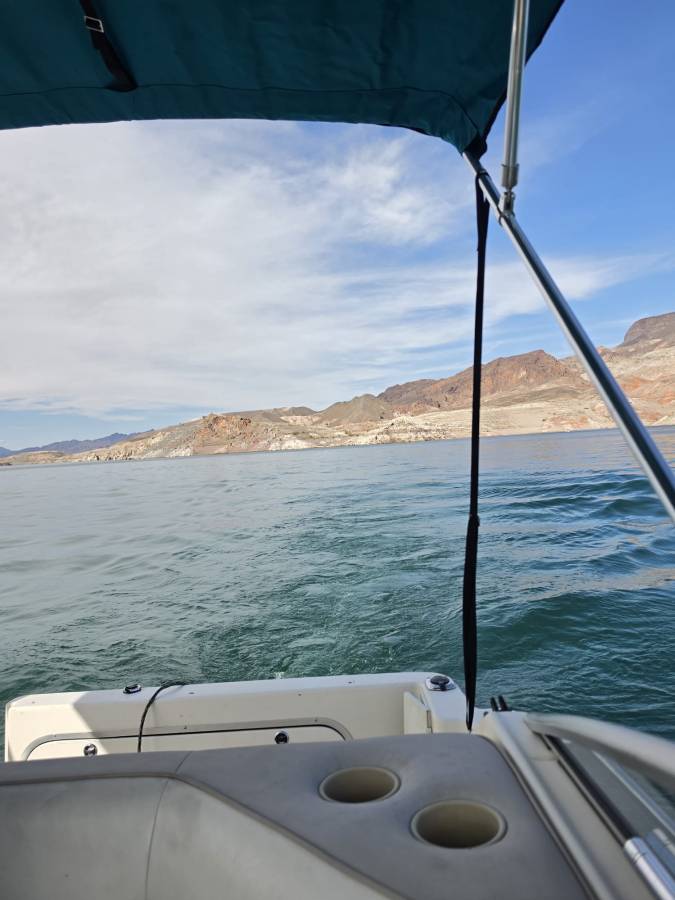 Bayliner, Import USA — Foto 7 z 12
