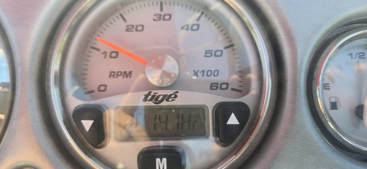 Tige, Import USA — Foto 12 z 12