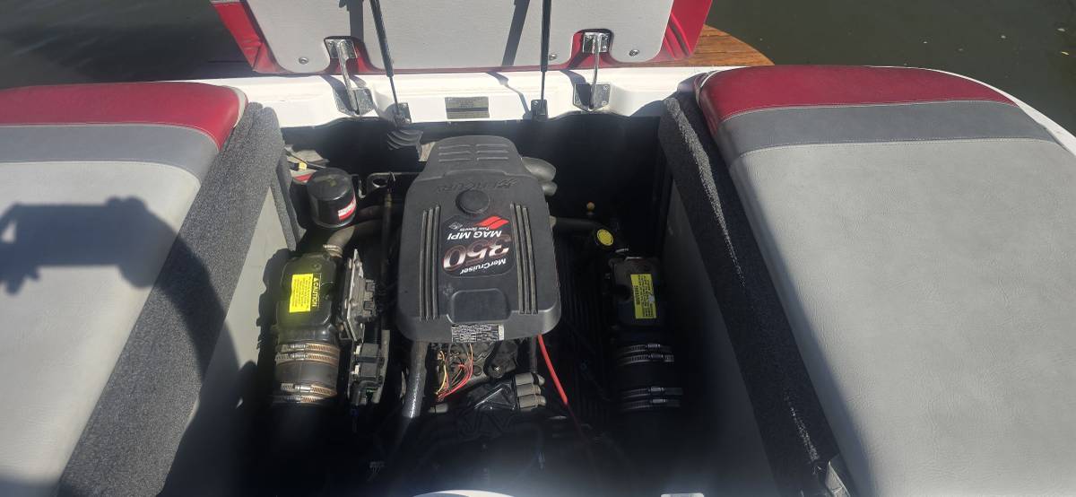 Tige, Import USA — Foto 6 z 12
