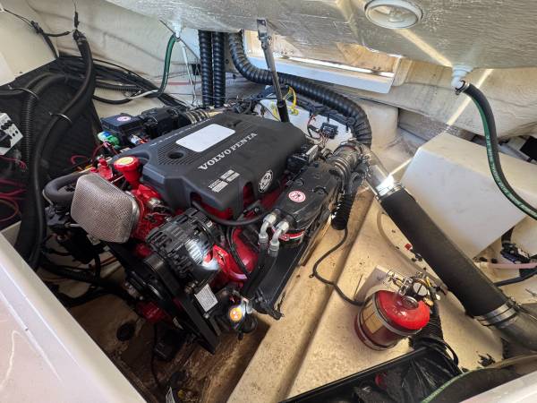 Chaparral, Import USA — Foto 11 z 12