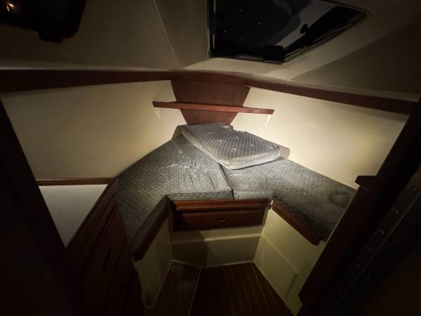 1987 Catalina, Import USA — Foto 2 z 12