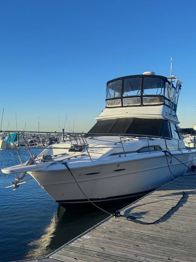 Sea Ray, Import USA — Foto 1