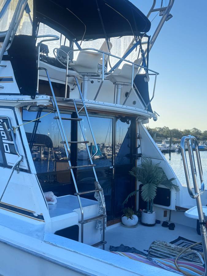 Sea Ray, Import USA — Foto 2 z 12
