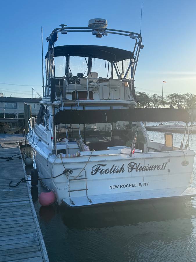 Sea Ray, Import USA — Foto 3 z 12