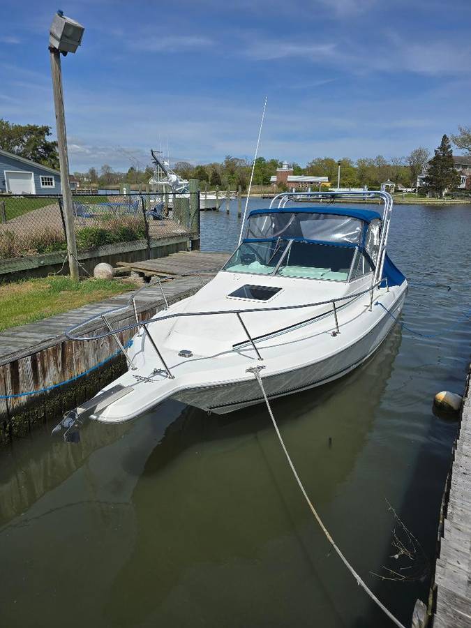 1995 Sea Ray, Import USA — Foto 1 | AMECAR 1995 Sea Ray, Import USA — Foto 1