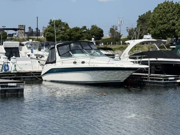 1996 Sea Ray, Import USA — Foto 1 z 12 1996 Sea Ray, Import USA — Foto 1 z 12