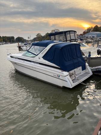 Wellcraft, Import USA — Foto 1