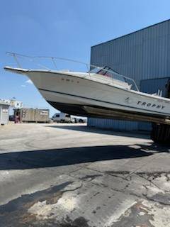 1999 Bayliner, Import USA — Foto 1