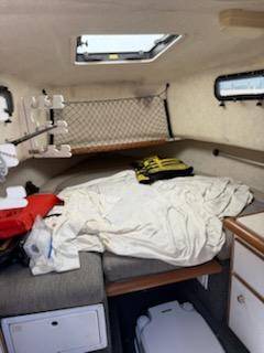 1999 Bayliner, Import USA — Foto 11 z 12