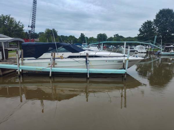 Sea Ray, Import USA — Foto 1