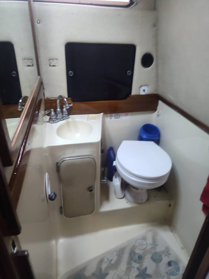 Sea Ray, Import USA — Foto 3 z 12
