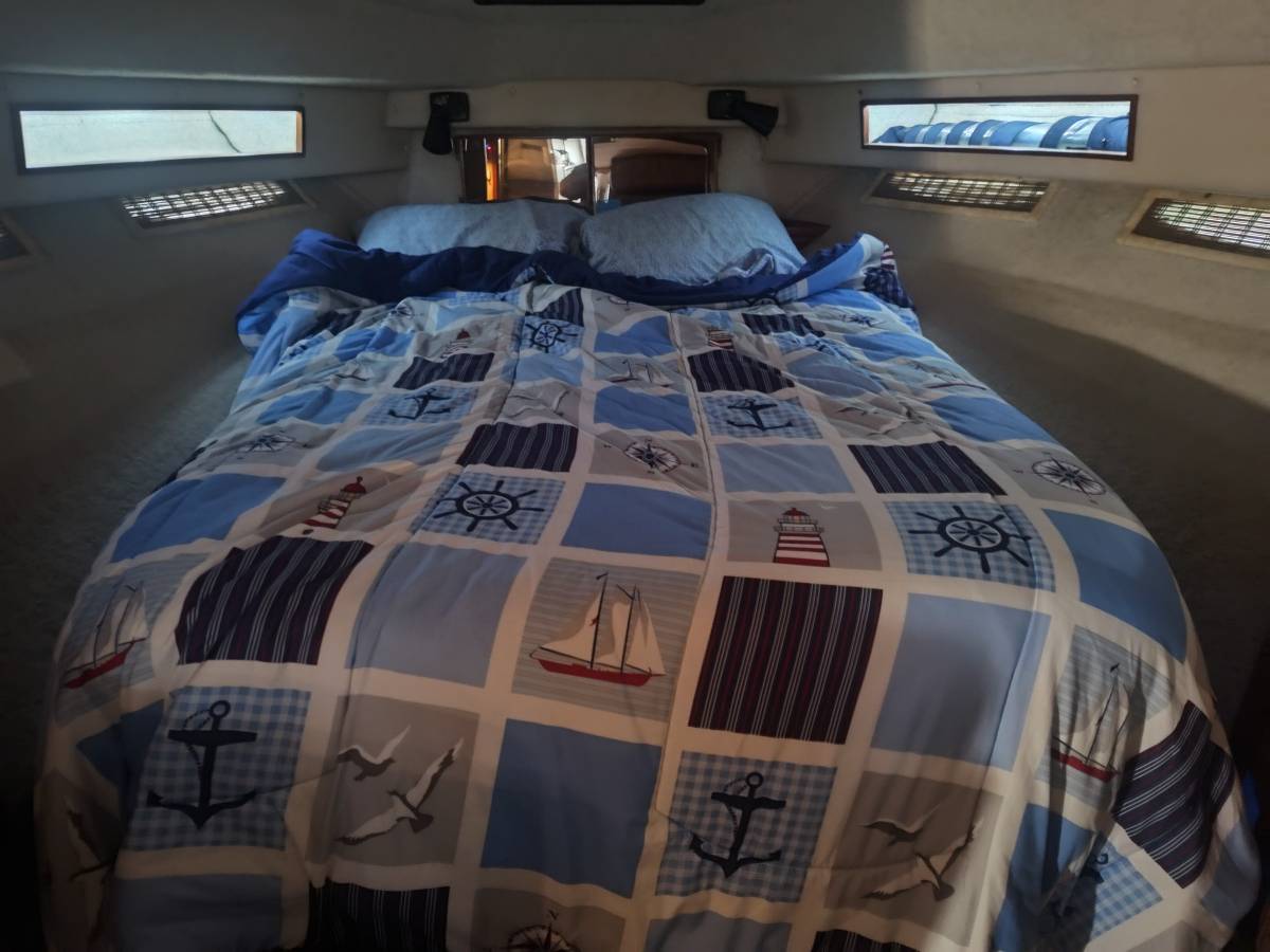 Sea Ray, Import USA — Foto 6 z 12
