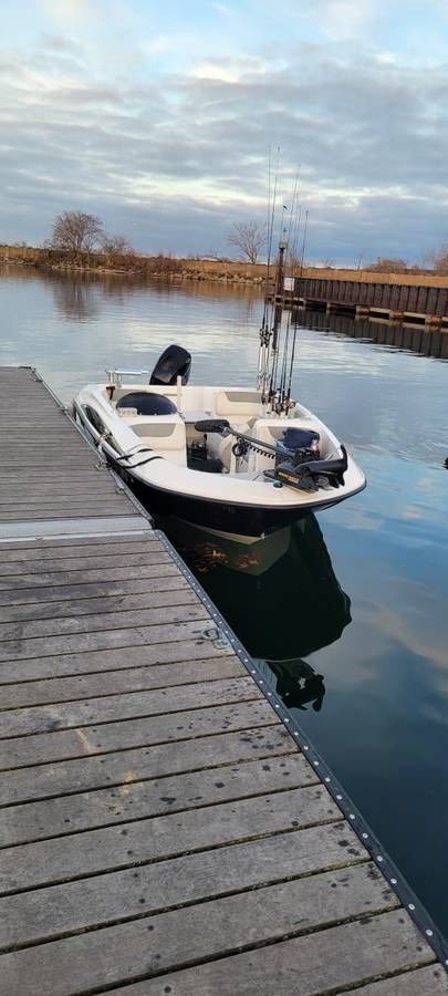 Bayliner, Import USA — Foto 1