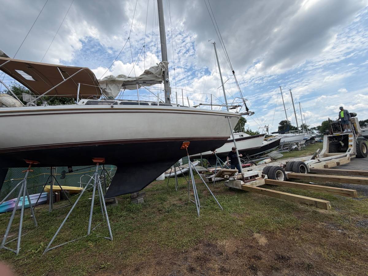 1981 Catalina, Import USA — Foto 6 z 12