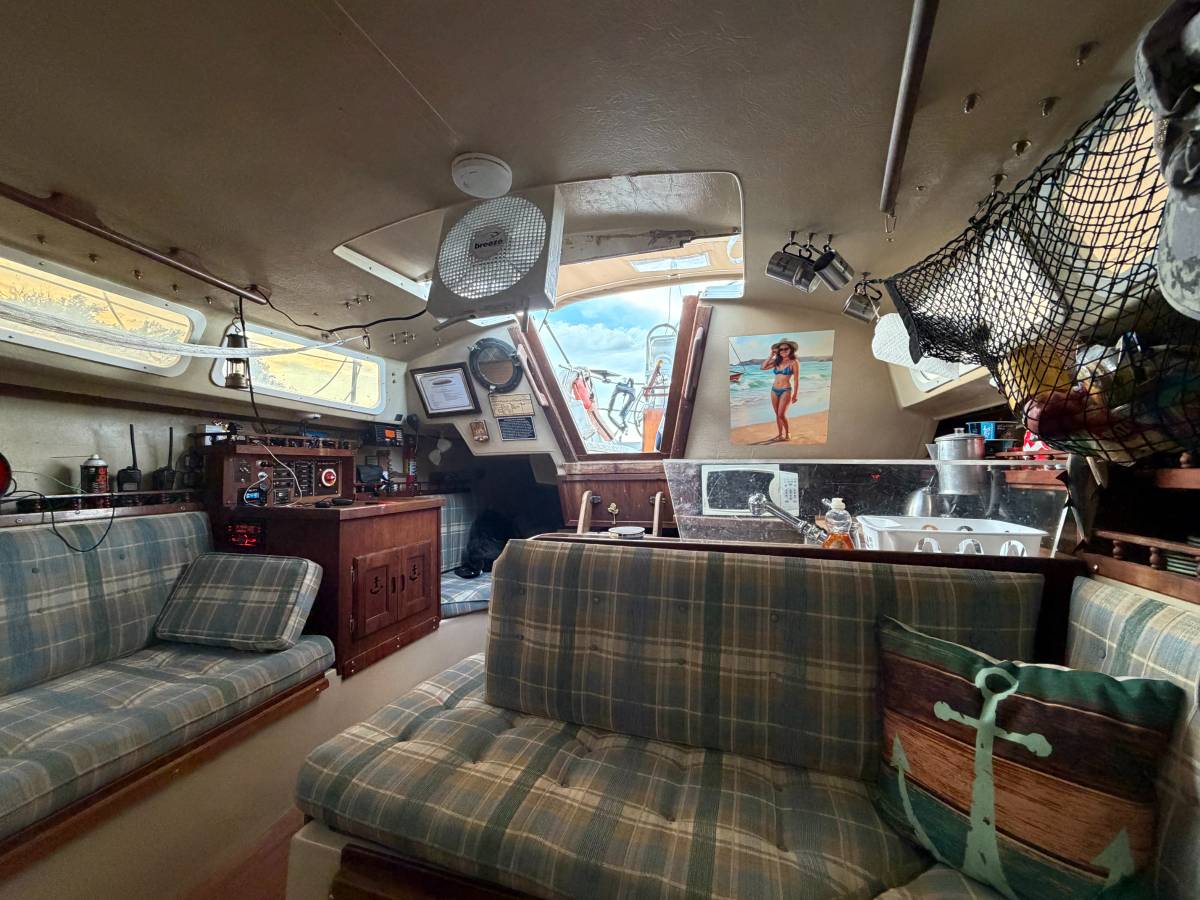 1981 Catalina, Import USA — Foto 8 z 12