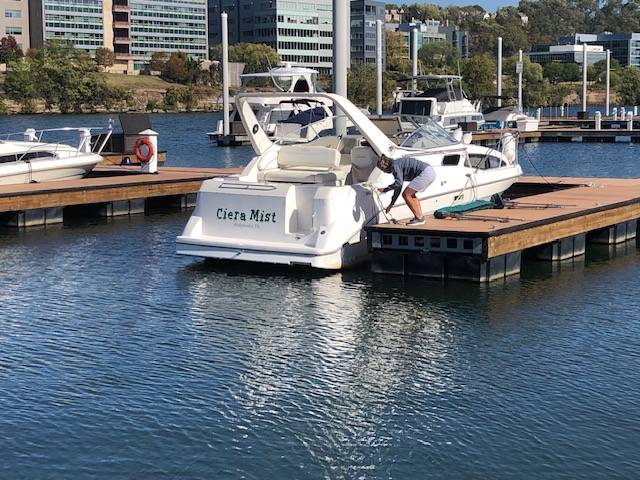Bayliner, Import USA — Foto 1