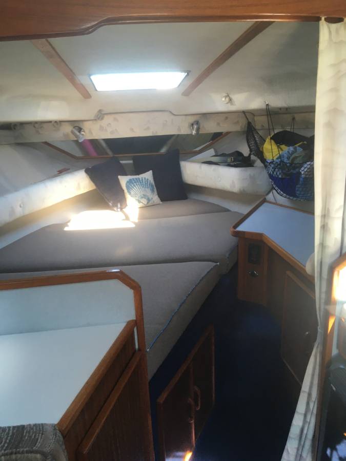 Sea Ray, Import USA — Foto 10 z 12