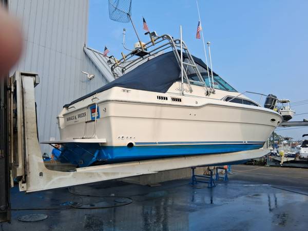 Sea Ray, Import USA — Foto 3 z 12