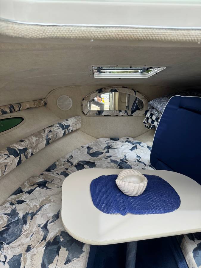 2000 Sea Ray, Import USA — Foto 8 z 9