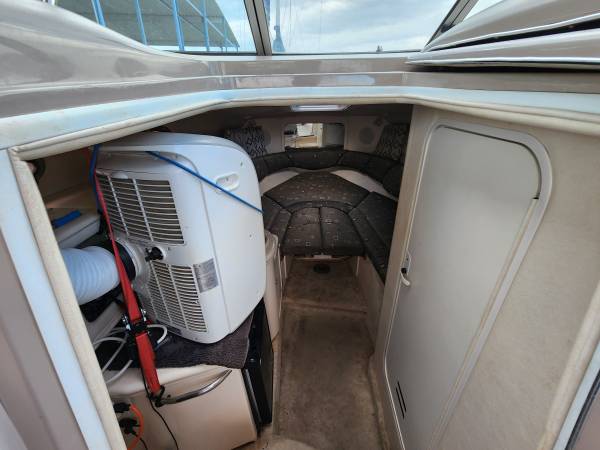 2000 Sea Ray, Import USA — Foto 12 z 12